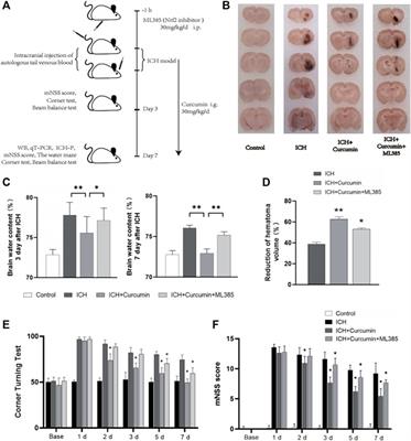 Curcumin Restrains Oxidative Stress of After Intracerebral Hemorrhage in Rat by Activating the Nrf2/HO-1 Pathway